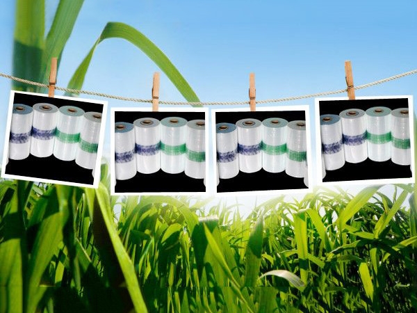 熱收縮包裝膜62